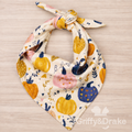Pretty Pumpkin Bandana