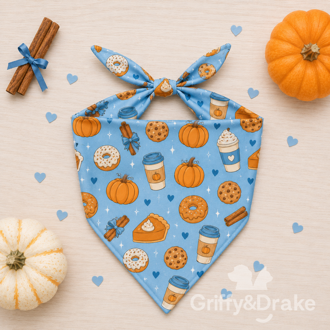Pumpkin Spice Bandana