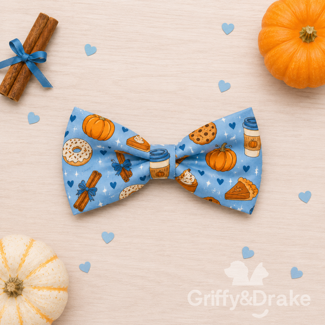 Pumpkin Spice Bow Tie